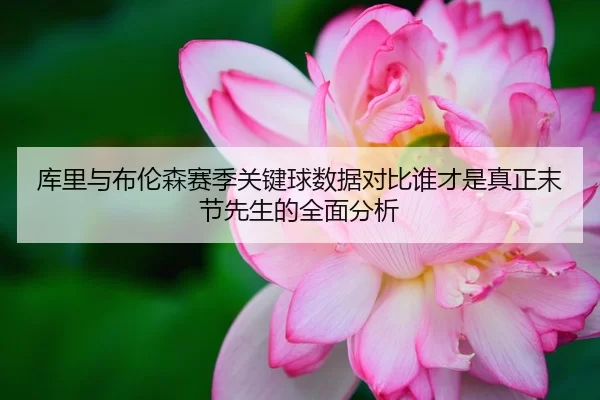 库里与布伦森赛季关键球数据对比谁才是真正末节先生的全面分析