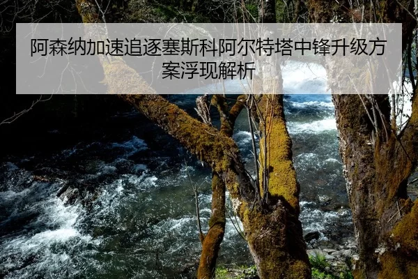 阿森纳加速追逐塞斯科阿尔特塔中锋升级方案浮现解析