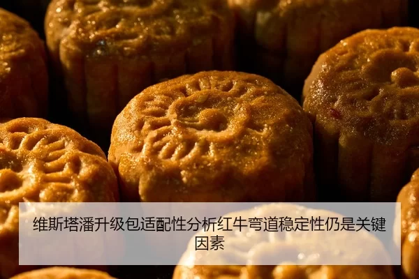 维斯塔潘升级包适配性分析红牛弯道稳定性仍是关键因素