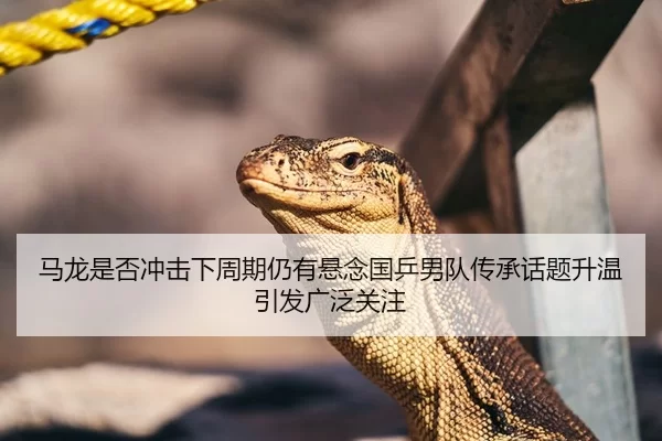 马龙是否冲击下周期仍有悬念国乒男队传承话题升温引发广泛关注