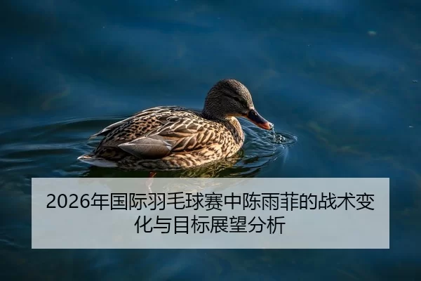 2026年国际羽毛球赛中陈雨菲的战术变化与目标展望分析