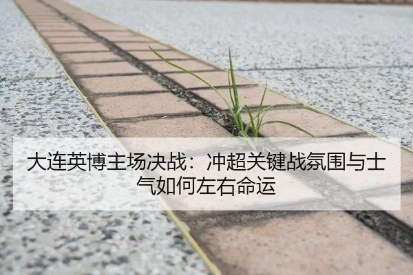 大连英博主场决战：冲超关键战氛围与士气如何左右命运