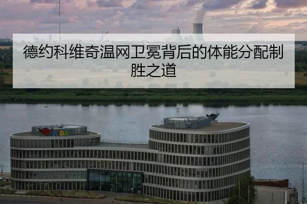 de-yue-ke-wei-qi-wen-wang-wei-mian-bei-hou-de-ti-neng-fen-pei-zhi-sheng-zhi-dao-2-458.jpg
