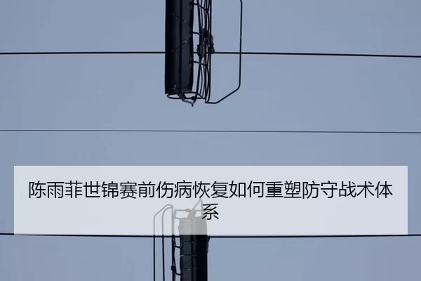 chen-yu-fei-shi-jin-sai-qian-shang-bing-hui-fu-ru-he-zhong-su-fang-shou-zhan-shu-ti-xi-2-400.jpg