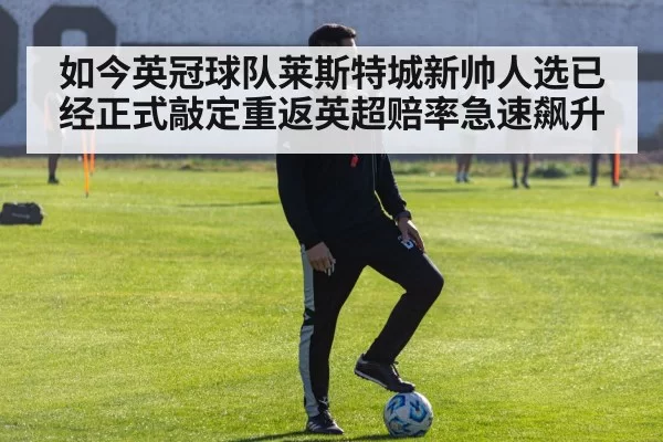 如今英冠球队莱斯特城新帅人选已经正式敲定重返英超赔率急速飙升